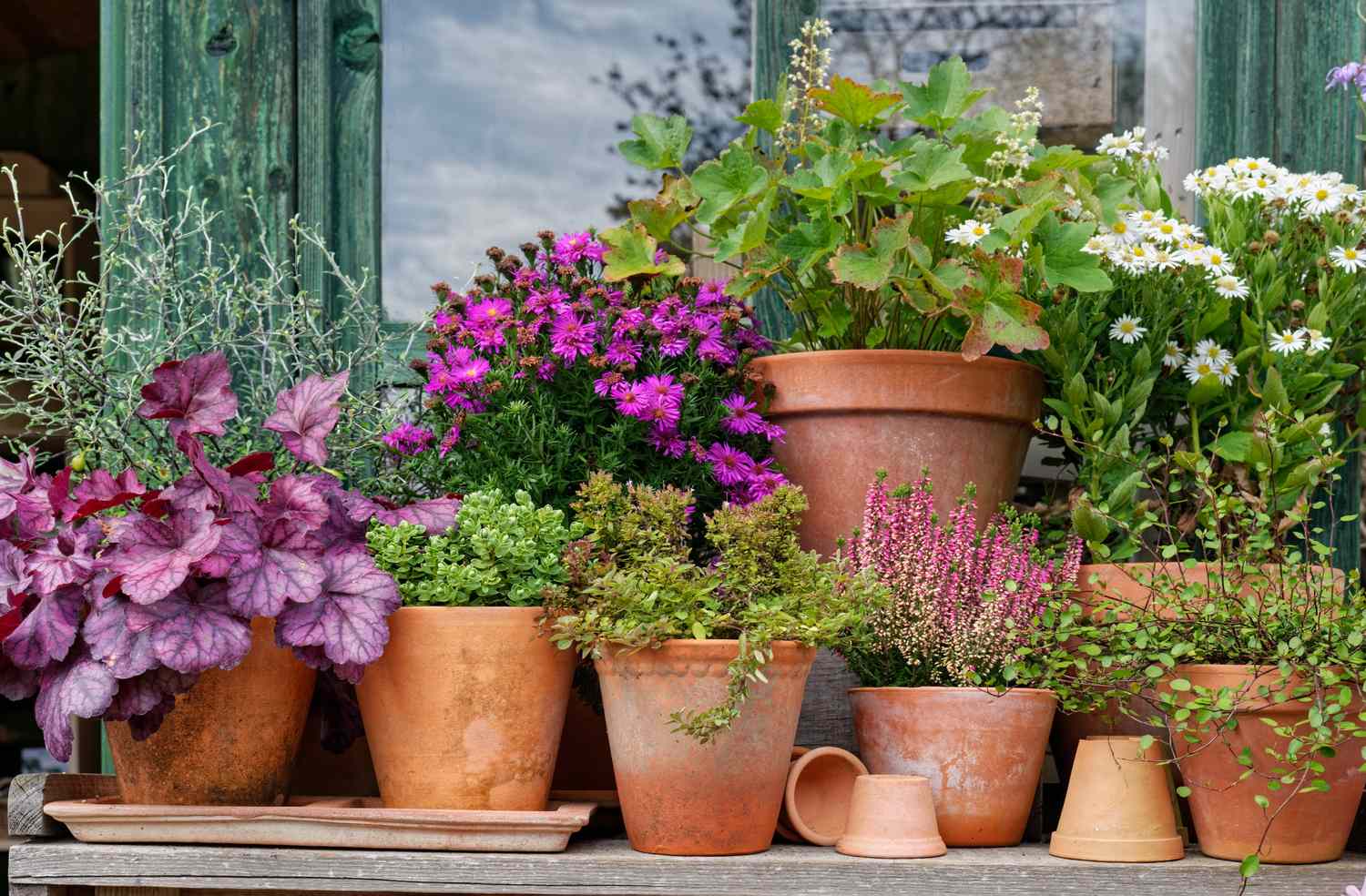 Garden & Landscape Products